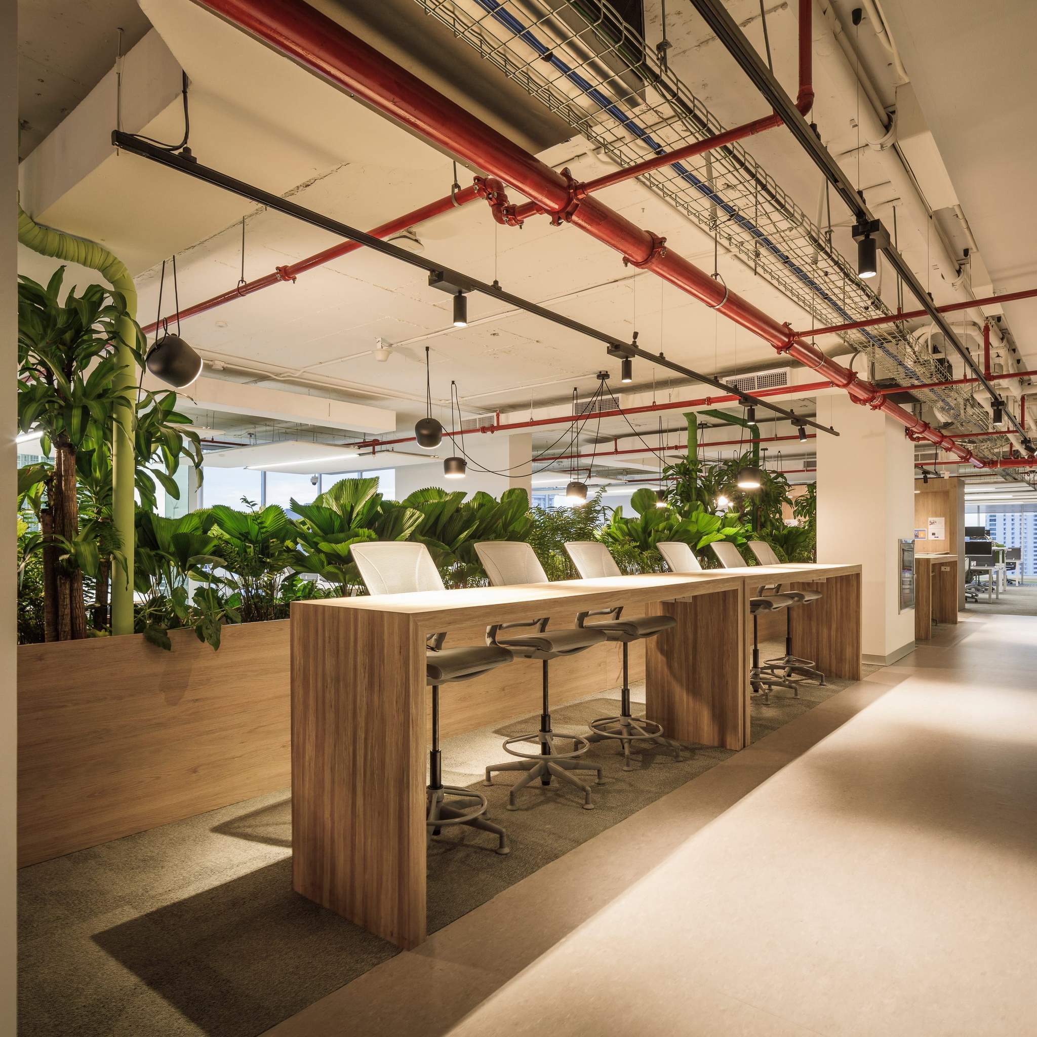 Sanofi Latam HQ - Imagen 5